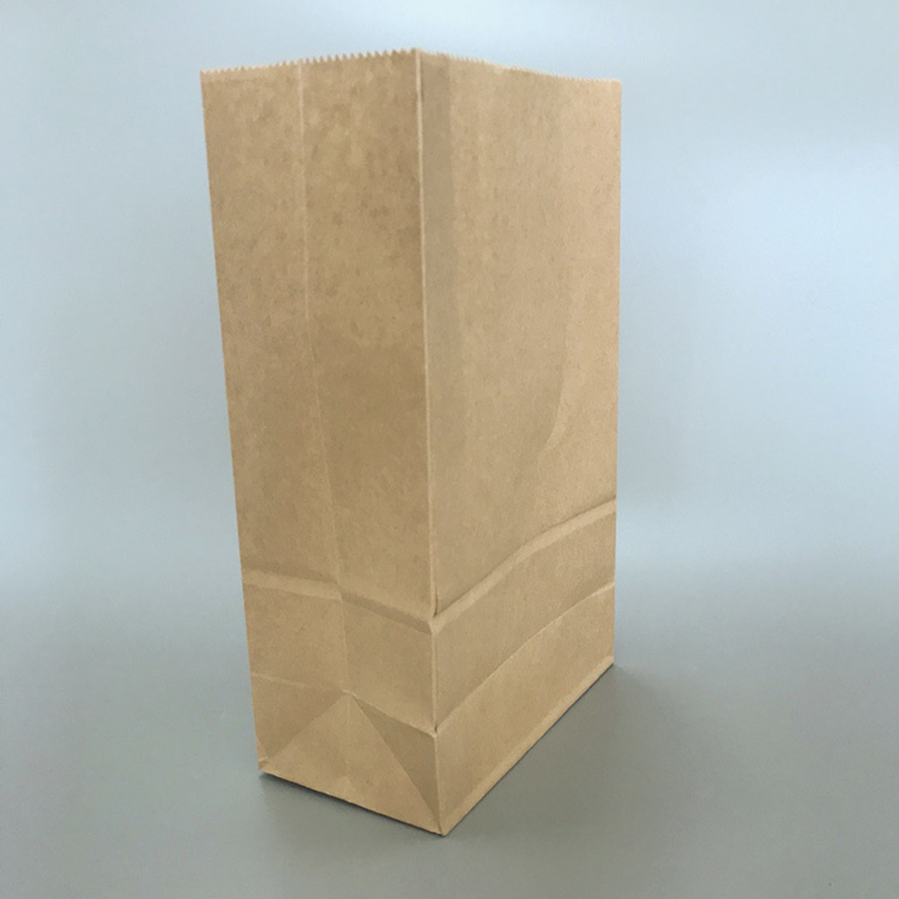 100pcs 크래프트 종이 봉투 소형 대형 저장 용기  - Food Snacks In Usa 리뷰 및 가격
